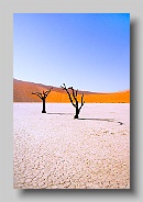 Africa - Namib desert